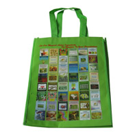 凉山LB11覆膜无纺布广告袋